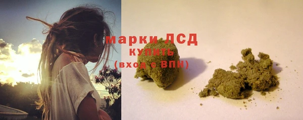 стаф Абаза