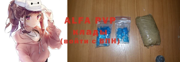 стаф Абаза