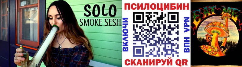 наркотики Чекалин Псилоцибиновые грибы мицелий